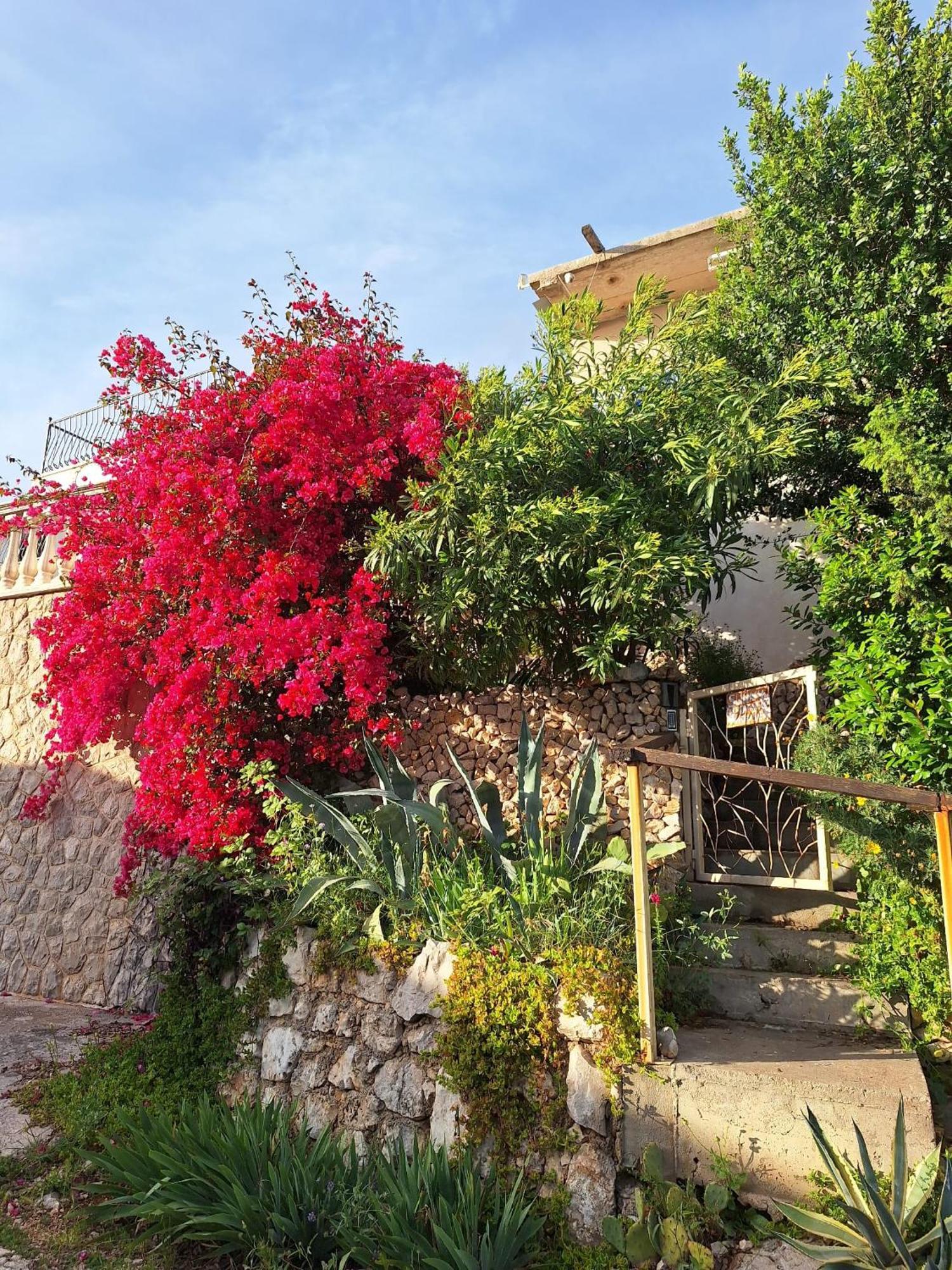 Villa Sunnyday House à Masline Extérieur photo